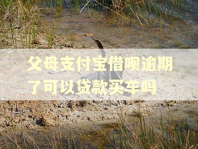 父母支付宝借呗逾期了可以贷款买车吗