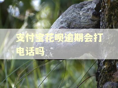 支付宝花呗逾期会打电话吗