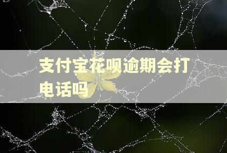 支付宝花呗逾期会打电话吗