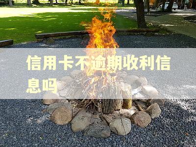 信用卡不逾期收利信息吗