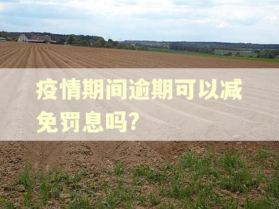 疫情期间逾期可以减免罚息吗?