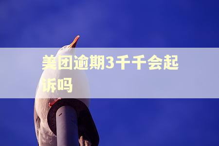 美团逾期3千千会起诉吗