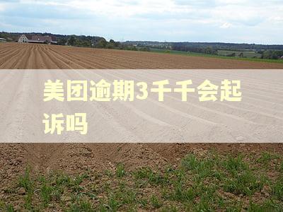 美团逾期3千千会起诉吗