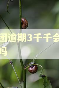 美团逾期3千千会起诉吗 美团逾期3千千会起诉吗