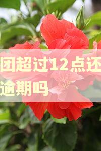 美团超过12点还款算逾期吗