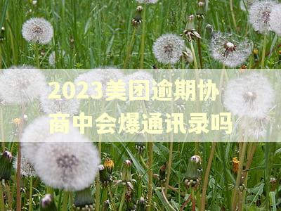 2023美团逾期协商中会爆通讯录吗 2023美团逾期协商中会爆通讯录吗