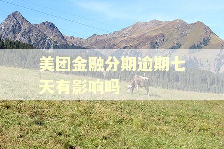 美团金融分期逾期七天有影响吗