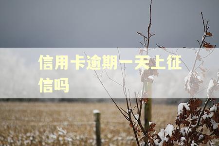 信用卡逾期一天上征信吗