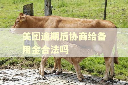 美团逾期后协商给备用金合法吗