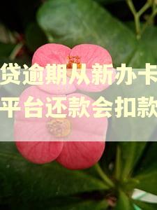 网贷逾期从新办卡绑定平台还款会扣款吗?