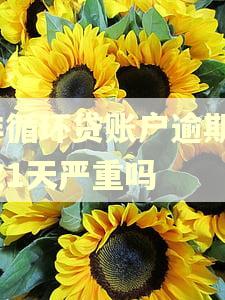 非循环贷账户逾期1次1天严重吗