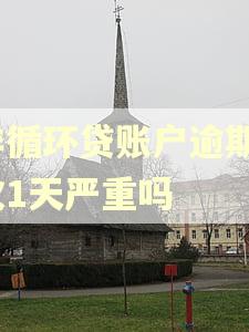 非循环贷账户逾期1次1天严重吗