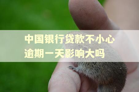 中国银行贷款不小心逾期一天影响大吗