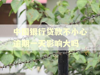 中国银行贷款不小心逾期一天影响大吗 中国银行贷款不小心逾期一天影响大吗