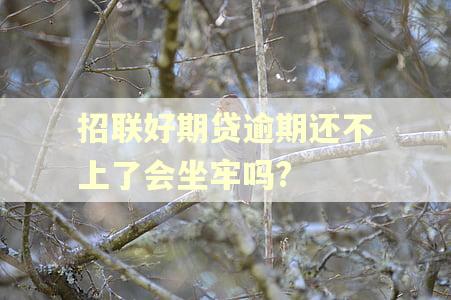 招联好期贷逾期还不上了会坐牢吗?