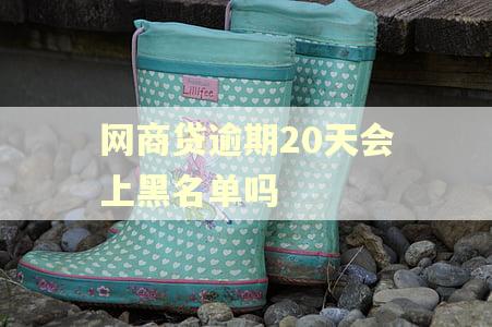 网商贷逾期20天会上黑名单吗