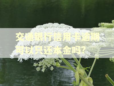 交通银行信用卡逾期可以只还本金吗? 交通银行信用卡逾期可以只还本金吗?