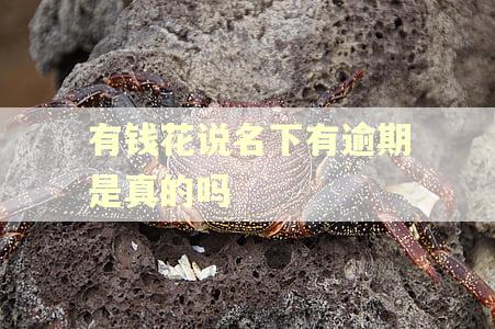 有钱花说名下有逾期是真的吗