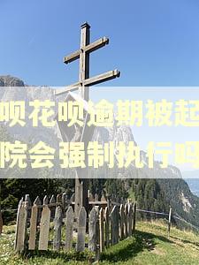 借呗花呗逾期被起诉法院会强制执行吗