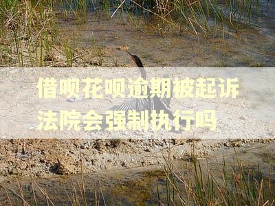 借呗花呗逾期被起诉法院会强制执行吗