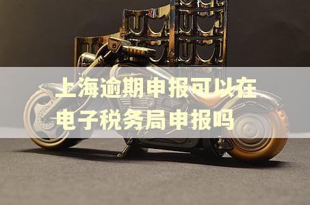上海逾期申报可以在电子税务局申报吗 上海逾期申报可以在电子税务局申报吗