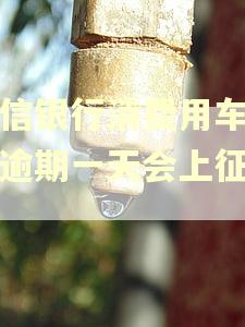 中信银行消费用车贷款逾期一天会上征信吗