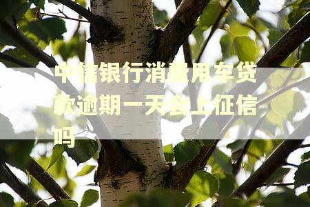 中信银行消费用车贷款逾期一天会上征信吗