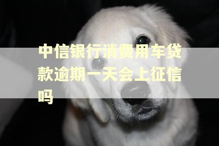 中信银行消费用车贷款逾期一天会上征信吗