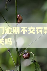 澳门逾期不交罚款能出关吗
