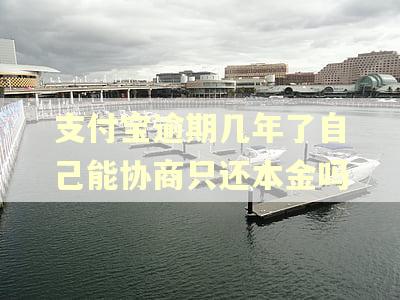 支付宝逾期几年了自己能协商只还本金吗