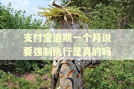 支付宝逾期一个月说要强制执行是真的吗
