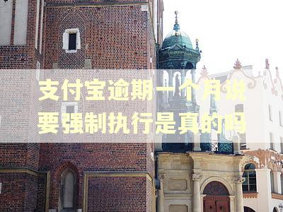 支付宝逾期一个月说要强制执行是真的吗