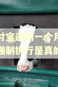 支付宝逾期一个月说要强制执行是真的吗 支付宝逾期一个月说要强制执行是真的吗