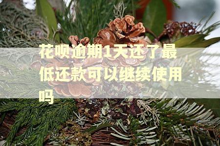 花呗逾期1天还了最低还款可以继续使用吗