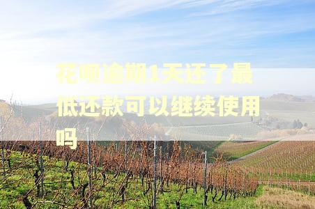 花呗逾期1天还了最低还款可以继续使用吗