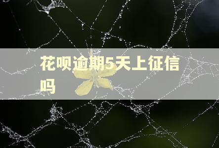 花呗逾期5天上征信吗 花呗逾期5天上征信吗