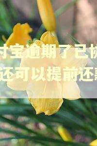 支付宝逾期了已协商好,还可以提前还款吗
