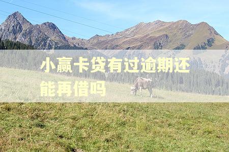 小赢卡贷有过逾期还能再借吗 小赢卡贷有过逾期还能再借吗