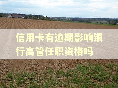 信用卡有逾期影响银行高管任职资格吗 信用卡有逾期影响银行高管任职资格吗