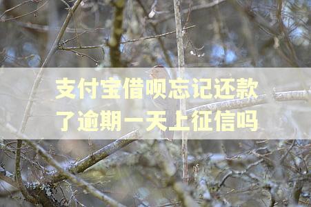 支付宝借呗忘记还款了逾期一天上征信吗