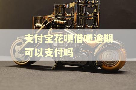 支付宝花呗借呗逾期可以支付吗