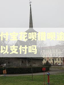 支付宝花呗借呗逾期可以支付吗