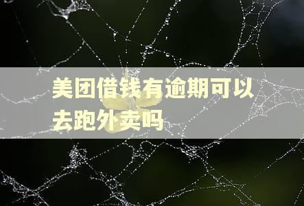 美团借钱有逾期可以去跑外卖吗
