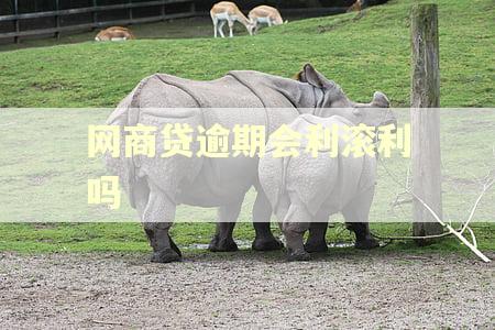 网商贷逾期会利滚利吗
