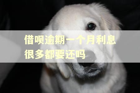 借呗逾期一个月利息很多都要还吗