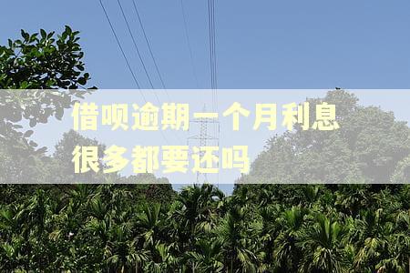 借呗逾期一个月利息很多都要还吗