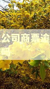 企业公司商票逾期上征信吗