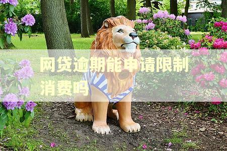 网贷逾期能申请限制消费吗