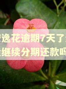 安逸花逾期7天了还能继续分期还款吗
