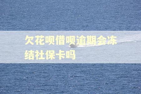 欠花呗借呗逾期会冻结社保卡吗